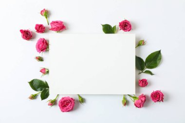 Güzel pembe güller ve beyaz bac metin için boşluk ile kare