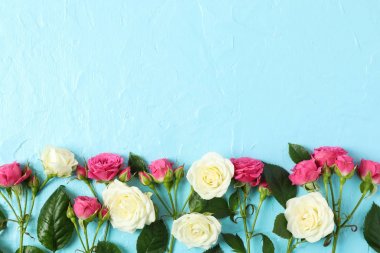 Renkli arka plan üzerinde metin için alan ile güzel taze güller, t