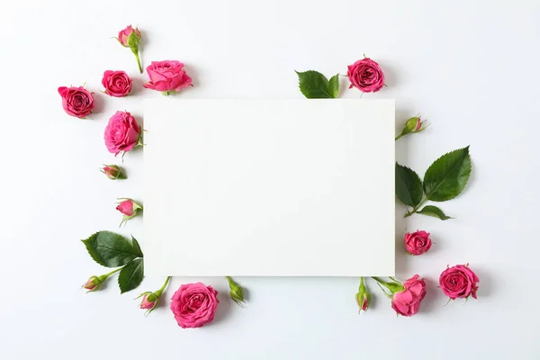 Belas rosas cor-de-rosa e quadrado com espaço para texto em bac branco — Fotografia de Stock