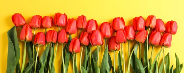 Composición con hermosos tulipanes rojos sobre fondo amarillo. Spri. — Foto de Stock