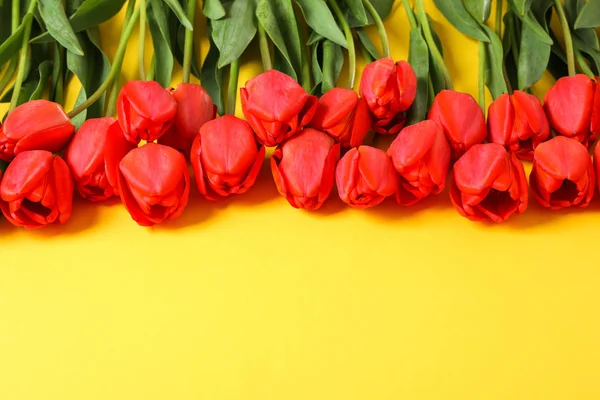 Muchos hermosos tulipanes rojos con hojas verdes sobre fondo amarillo — Foto de Stock