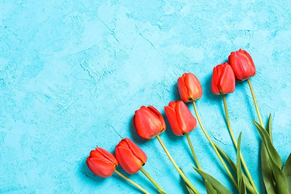 Buquê de belas tulipas vermelhas com folhas verdes na cor backg — Fotografia de Stock