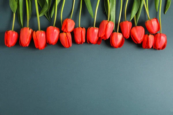 Muchos hermosos tulipanes rojos con hojas verdes sobre fondo oscuro , — Foto de Stock