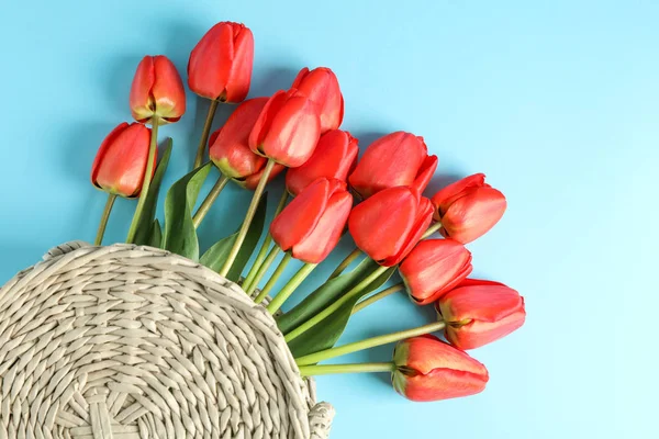 Woven bag with beautiful red tulips on blue background, top view — Stock Photo, Image