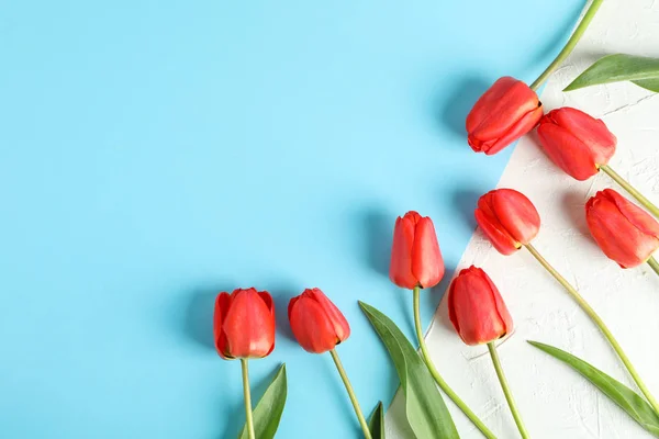 Beautiful red tulips on two tone background, space for text — Stock Photo, Image