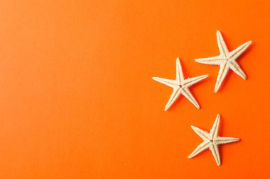 Renkli arka planda denizyıldızları, metin alanı, üst görünüm. Yaz