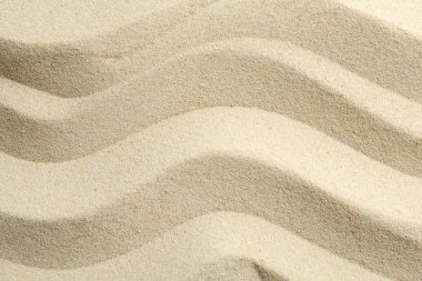 Bütün bir arka plan üzerinde kesintisiz kum, metin için alan. Yaz vaca