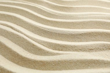 Bütün bir arka plan üzerinde kesintisiz kum, metin ve yakın çekim için alan.