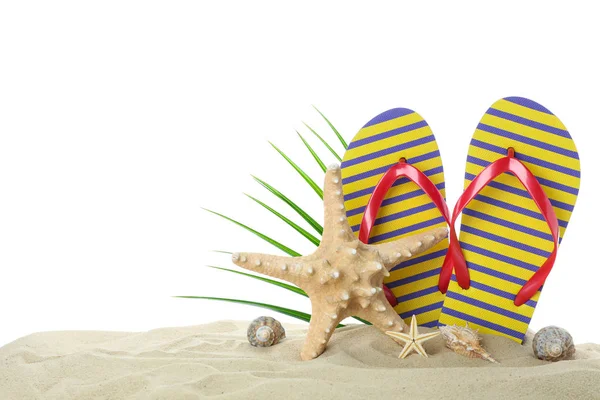 Chinelos com estrela-do-mar, conchas e folha de palma em mar claro s — Fotografia de Stock