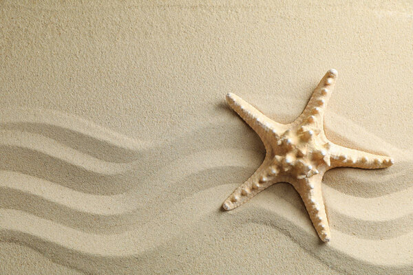 Clear sea sand with starfish, space for text. Summer vacation ba