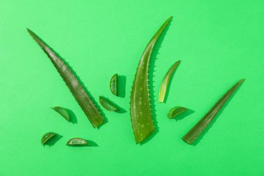 Aloe vera yaprakları ve renkli arka plan dilimleri, metin için alan.