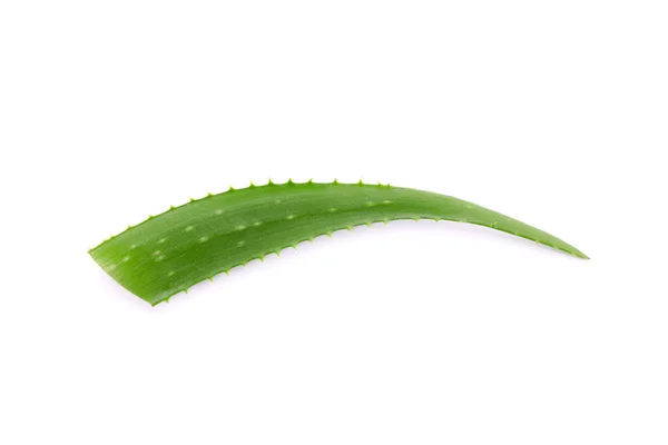 Feuille fraîche d'aloe vera isolée sur fond blanc. Traitement pla — Photo