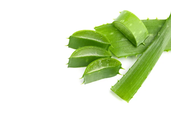 Fette di aloe vera isolate su fondo bianco. Medicina vegetale — Foto Stock