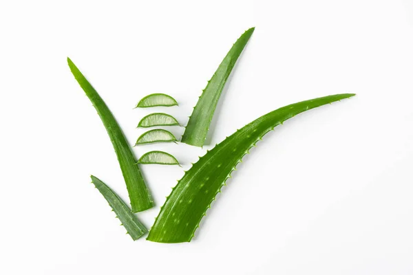 Feuilles et tranches d'aloe vera sur fond blanc, espace pour le texte . — Photo