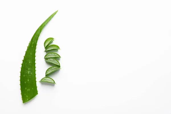 Aloe Vera blad och skivor på vit bakgrund, utrymme för text. N — Stockfoto