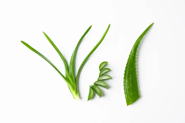 Aloe Vera blad och skivor på vit bakgrund, utrymme för text. — Stockfoto