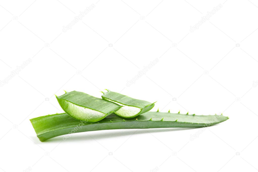 Aloe vera slices isolated on white background. Herbal medicine