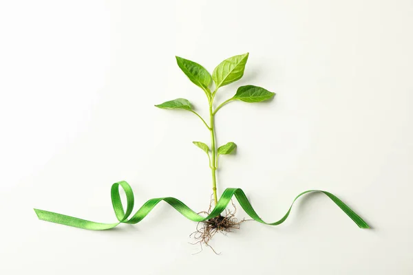 Groene Sprout met tape op lichte achtergrond, ruimte voor tekst. Mili — Stockfoto