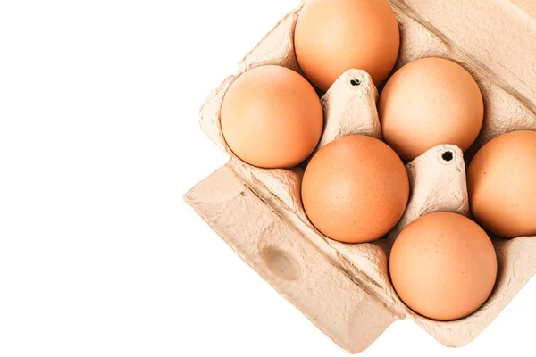 Huevos de pollo marrón en caja de cartón aislados sobre fondo blanco, t — Foto de Stock
