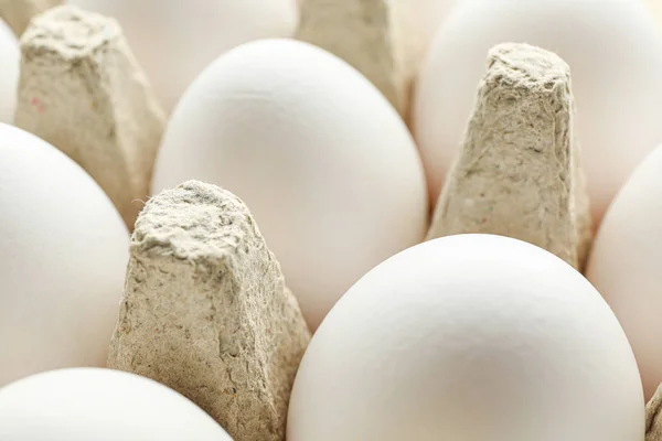 Білі курячі яйця в картонній коробці як фон, крупним планом — стокове фото