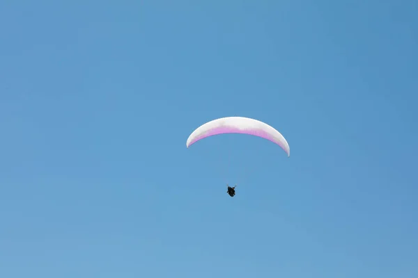 Beyaz-pembe paraşütile Skydiver mavi gökyüzünde uçar — Stok fotoğraf