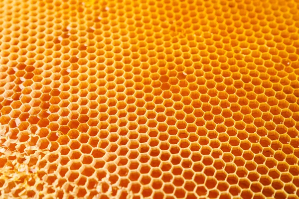 全体の背景に甘い黄金の蜂蜜を持つハニカム、クローズアップ — ストック写真