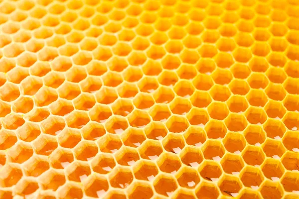 Honeycombs ze słodkim złotym miodem na całe tło, zbliżenie — Zdjęcie stockowe
