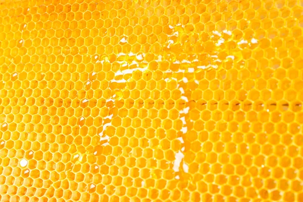 整个背景上有甜金蜂蜜的蜂巢，特写 — 图库照片
