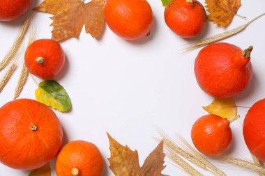 Kabaklar, sivri ve beyaz arka plan üzerinde yaprakları, te için alan