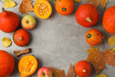 Gri arka planda kabaklar ile kompozisyon, metin için alan