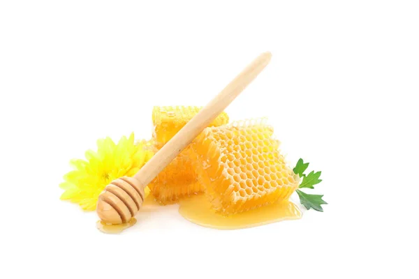 Pedaços de favo de mel, crisântemo e dipper isolados em branco — Fotografia de Stock