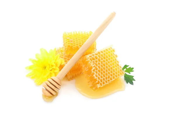 Pedaços de favo de mel, crisântemo e dipper isolados em branco — Fotografia de Stock