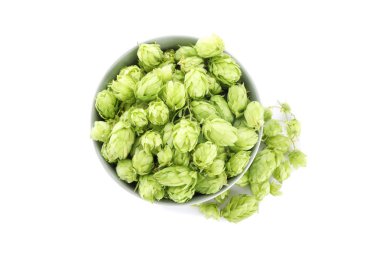 Beyaz arka plan üzerinde izole hop konileri ile Bowl