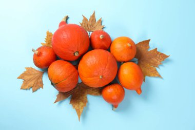 Mavi arka plan üzerinde kabak ve yaprakları ile Kompozisyon, kopya sp