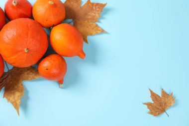 Mavi arka plan üzerinde kabak ve yaprakları ile Kompozisyon, kopya sp