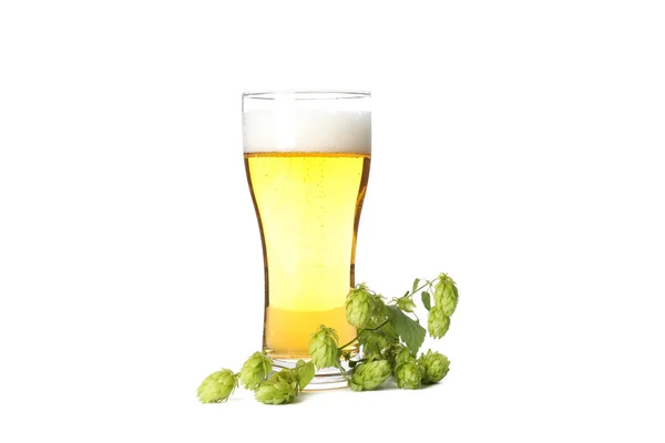 Glas Bier und Hopfenzweig isoliert auf weißem Hintergrund — Stockfoto