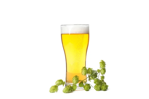 Glass of beer and hop branch isolated on white background — Stock Photo, Image