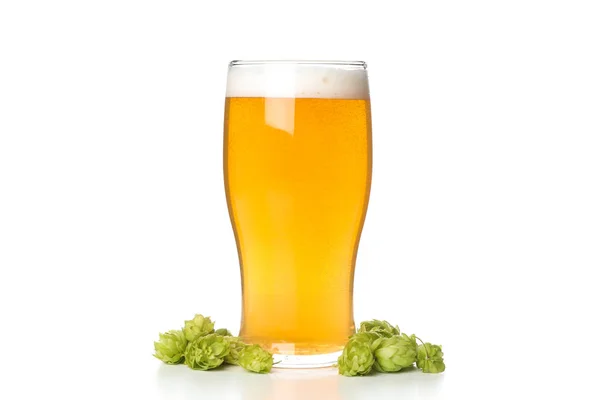 Ποτήρι μπύρας και κώνους λυκίσκου απομονωμένα σε λευκό φόντο — Φωτογραφία Αρχείου