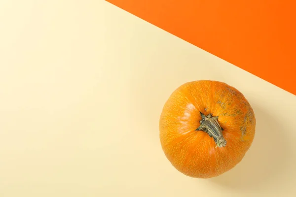 Pumpkin on two color background, space for text