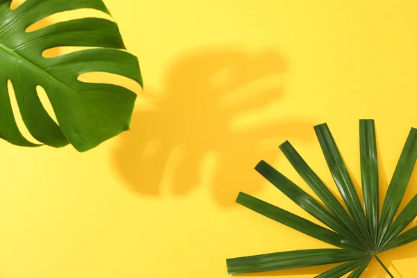 Verschiedene Palmblätter auf gelbem Hintergrund, Kopierraum — Stockfoto