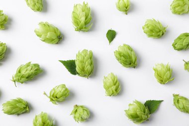 Beyaz arka plan üzerinde hop ile düz yatıyordu kompozisyon, yakın