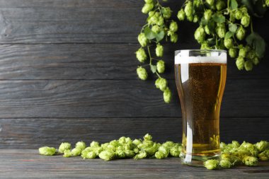 Mag bira, spikelets ve ahşap masaya hop, metin için alan