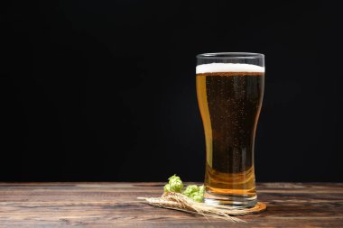 Mag bira, spikelets ve ahşap masaya hop, metin için alan