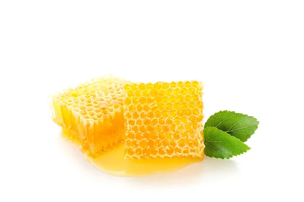 Honeycombs a listí izolované na bílém pozadí — Stock fotografie