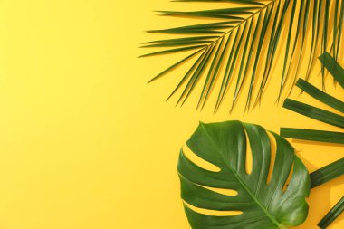 Sarı arka planda farklı palmiye yaprakları, kopyalama alanı