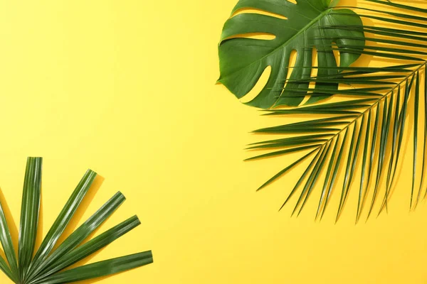 Verschiedene Palmblätter auf gelbem Hintergrund, Kopierraum — Stockfoto