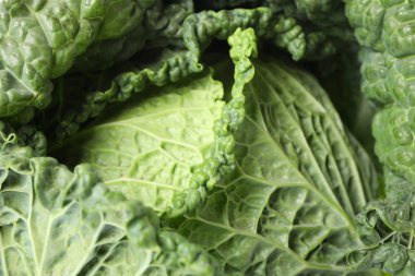 Tüm arka planda yeşil lahana, kapat.