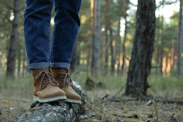 Person in boots and jeans on trunk, space for text