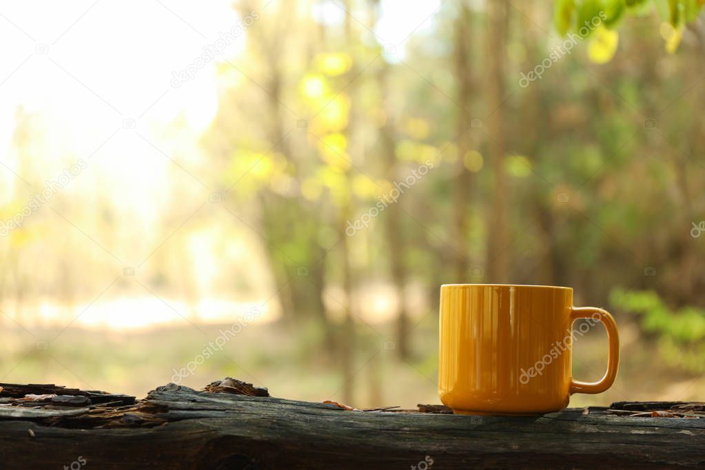 Yellow cup on trunk. Beautiful forest, space for text