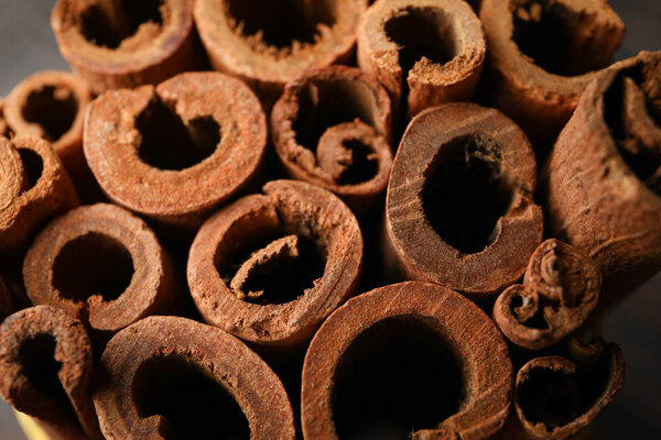 Cinnamon sticks texture on whole background, space for text and 